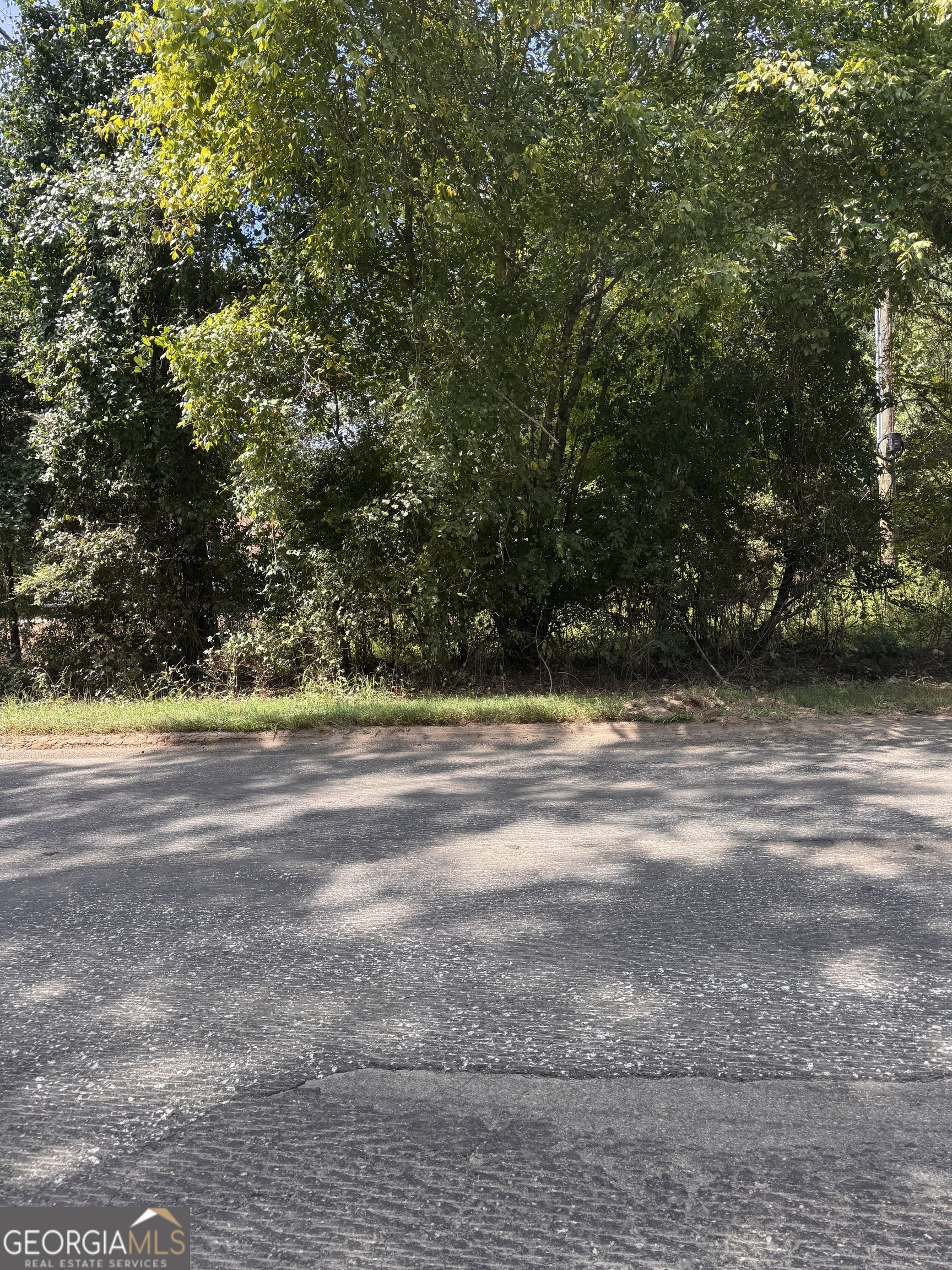 a view of yard with swimming pool and green space