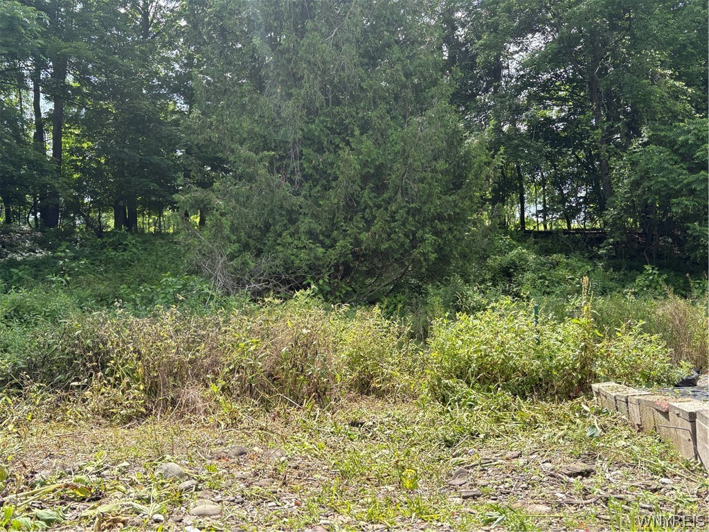 11557 Mill Fillmore, NY 14735 - Photo 3 of 10