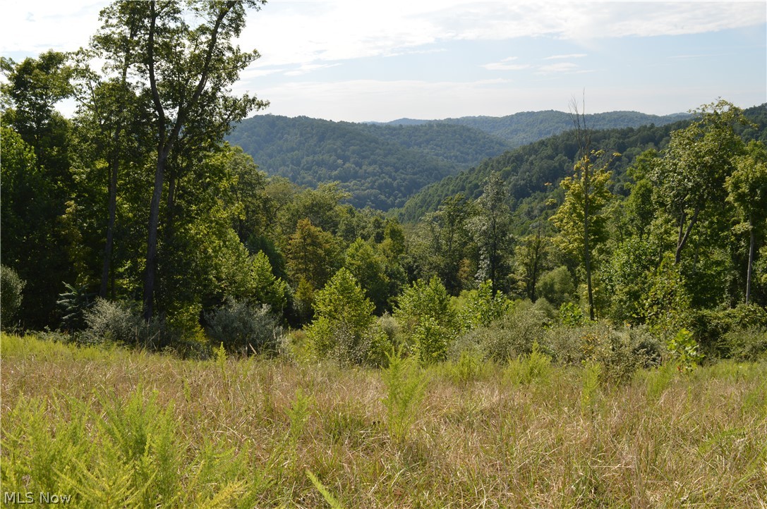 Beverlin Fork Center Point, WV 26339 - Photo 9 of 17