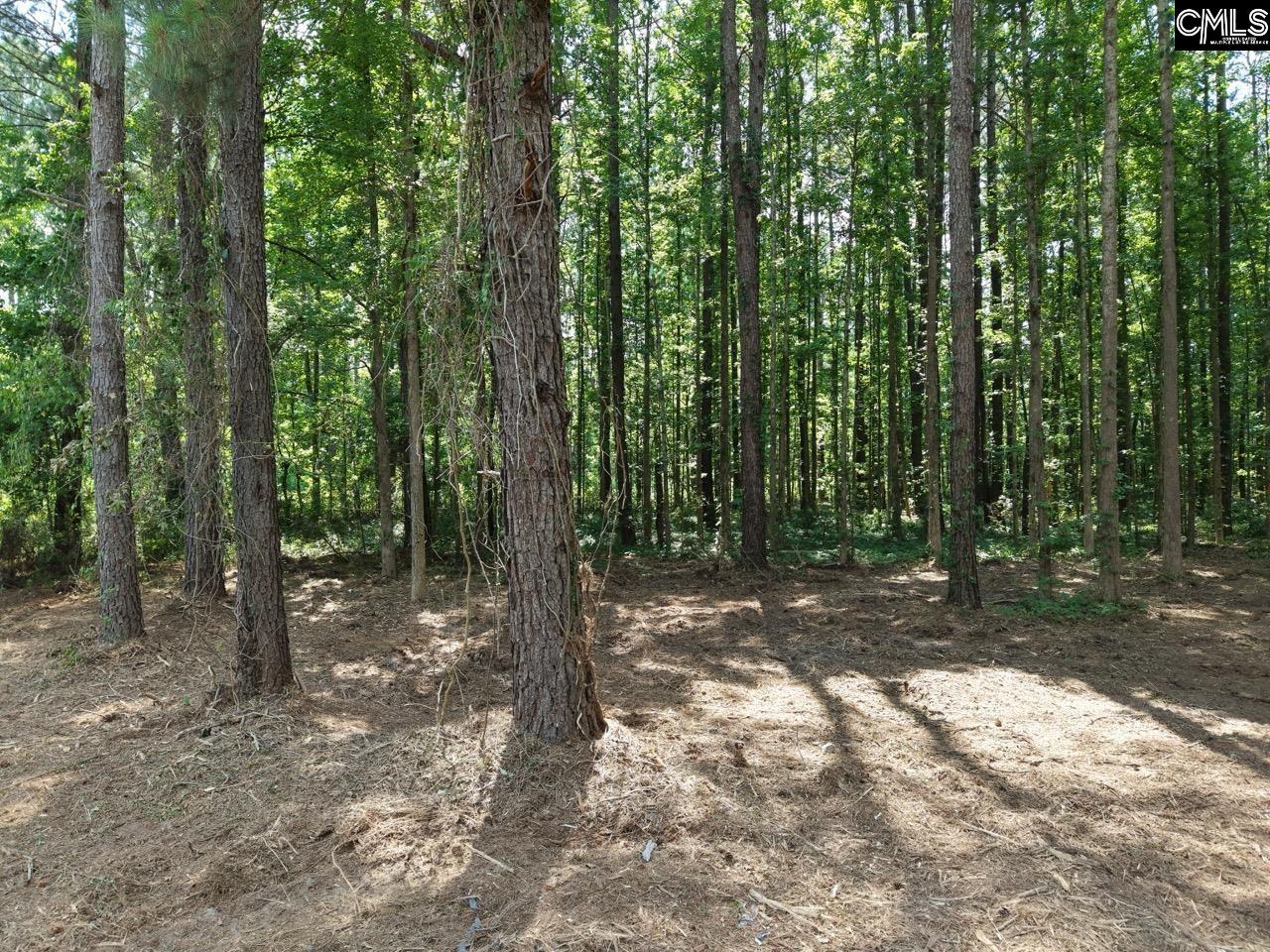 0 Peace Lane Bowman, SC 29018 - Photo 12 of 13
