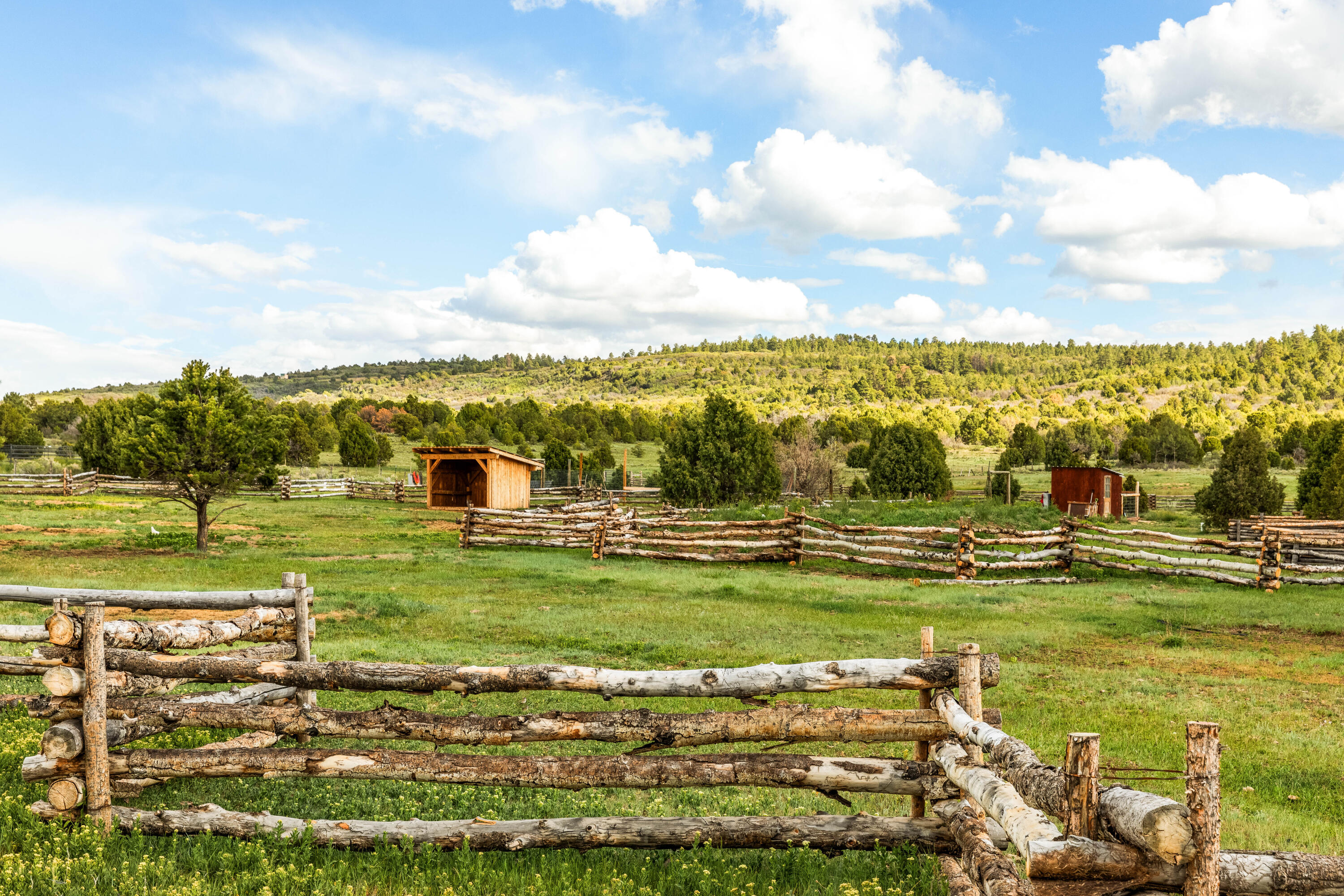 747 County Rd V44 Norwood, CO 81423 - Photo 44 of 45 Green Pastures