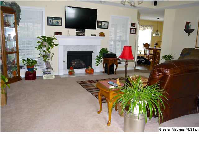4005 Falliston Drive Helena, AL 35080 - Photo 3 of 24