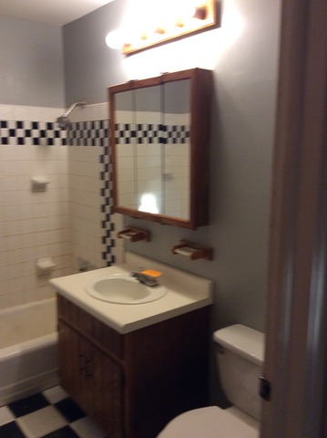 14433 Springfield Avenue Midlothian, IL 60445 - Photo 11 of 14