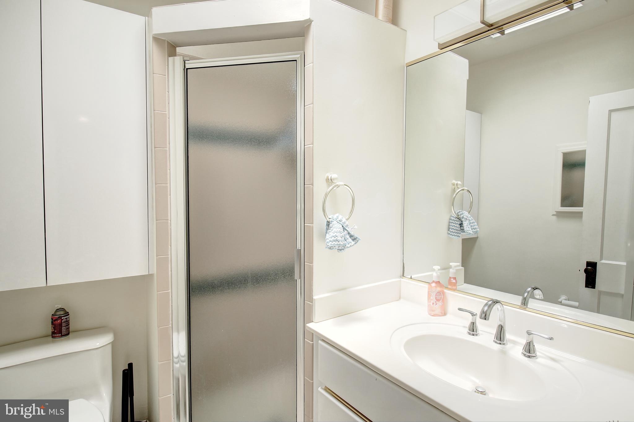 206 East 8th Street, Unit 2 Frederick, MD 21701 - Photo 9 of 10 a bathroom with a sink and a mirror