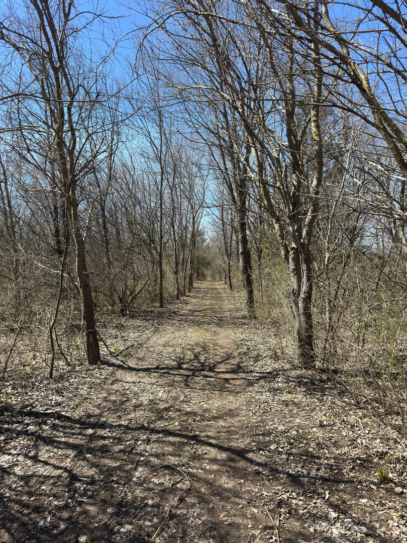 8560 North Hales Corner Road Stillman Valley, IL 61084 - Photo 13 of 18 Gallery Image 13