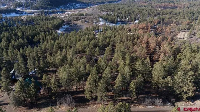 a view of a city with lush green forest