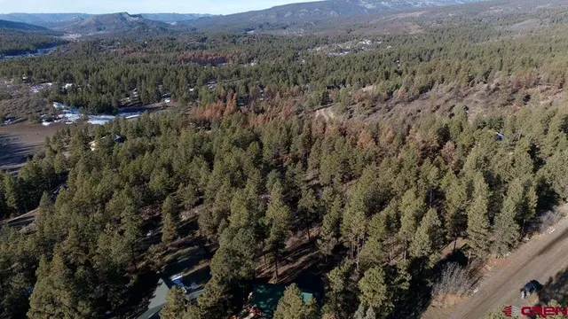a view of a field of grass and mountain