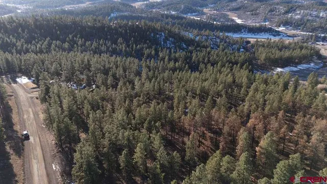 a view of a trees in a field