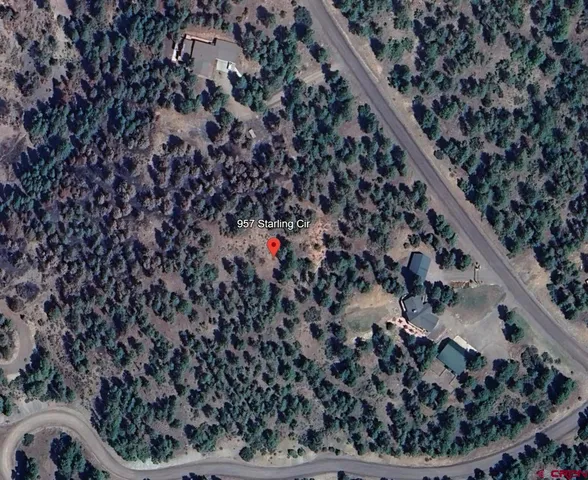 a view of a dry plant