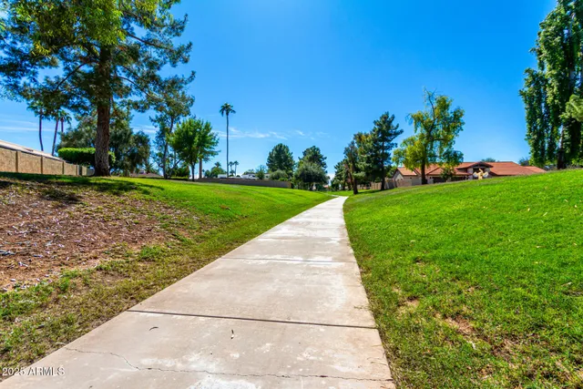 a view of a park with plants and trees