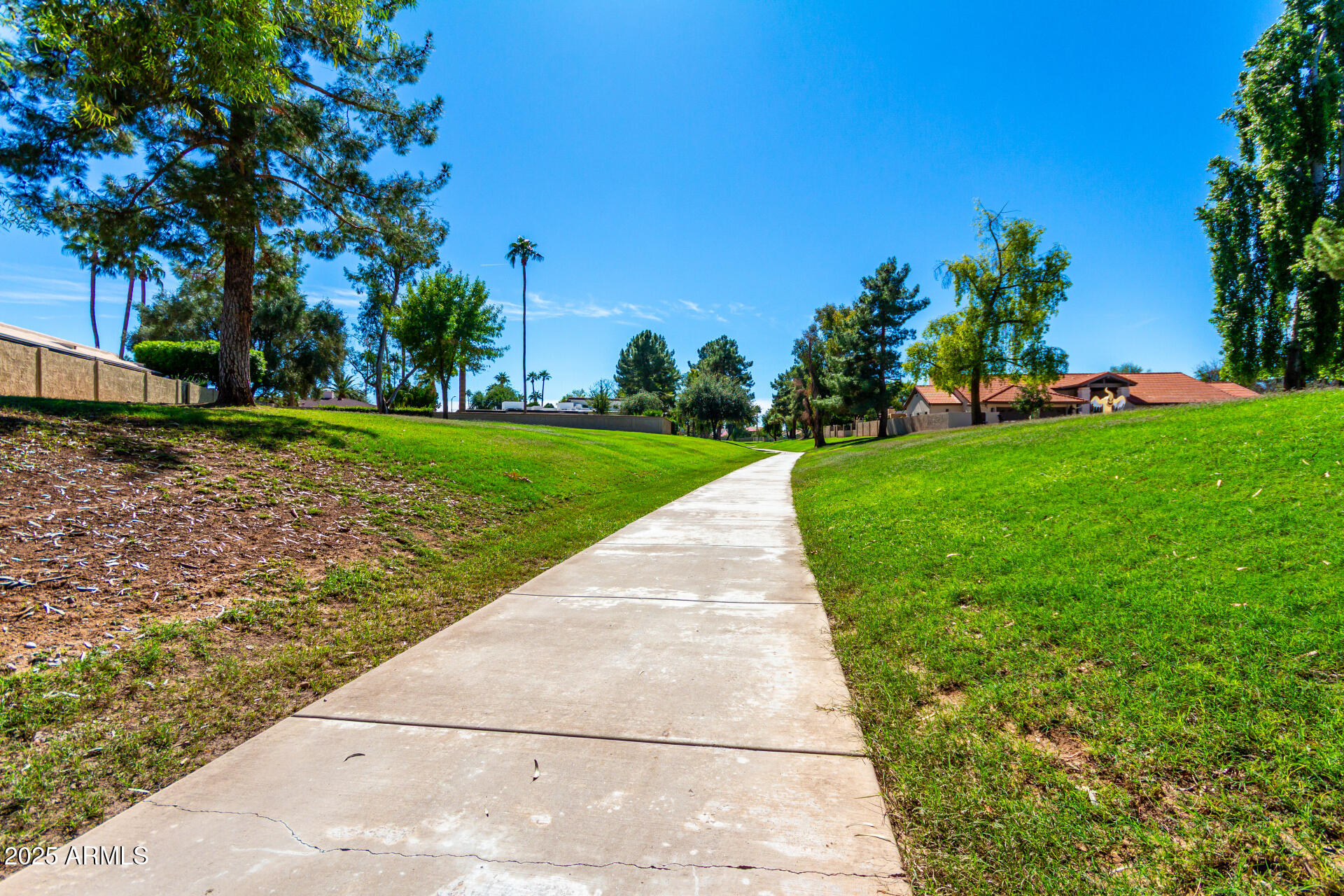 8700 East Mountain View Road, Unit 1014 Scottsdale, AZ 85258 - Photo 40 of 41 a view of a park with plants and trees