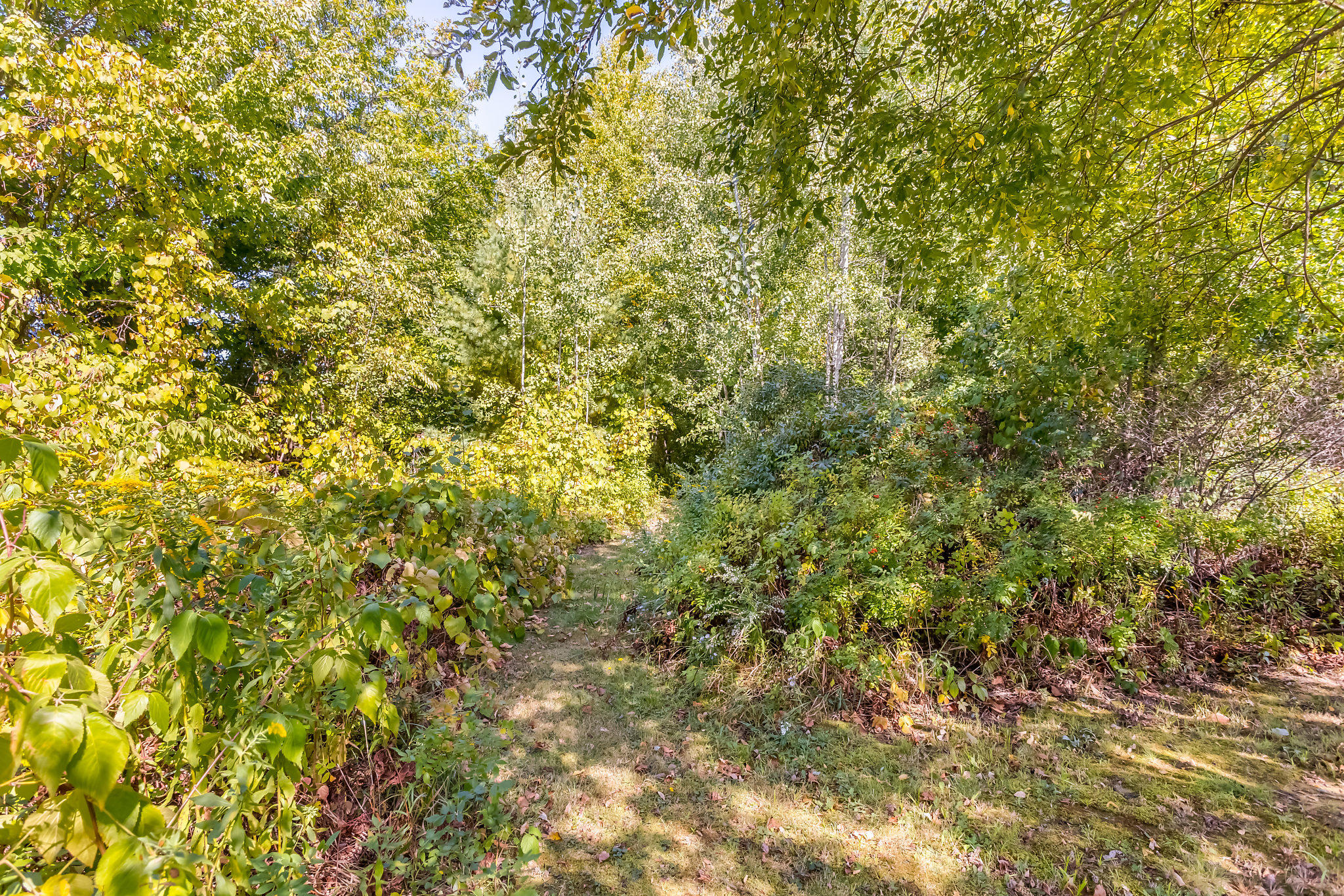 682 Lebanon Road North Berwick, ME 03906 - Photo 25 of 74 2020_09_21 682LebanonRd-025-SMALL