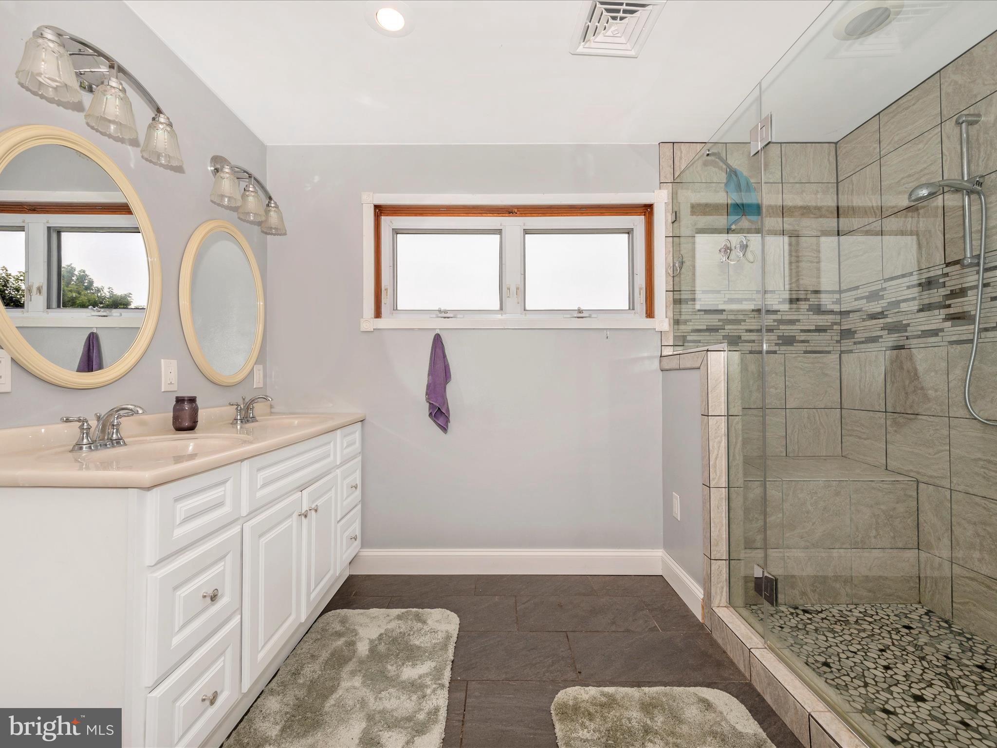 14054 Hoovers Mill Road Rocky Ridge, MD 21778 - Photo 20 of 56 Primary Bathroom