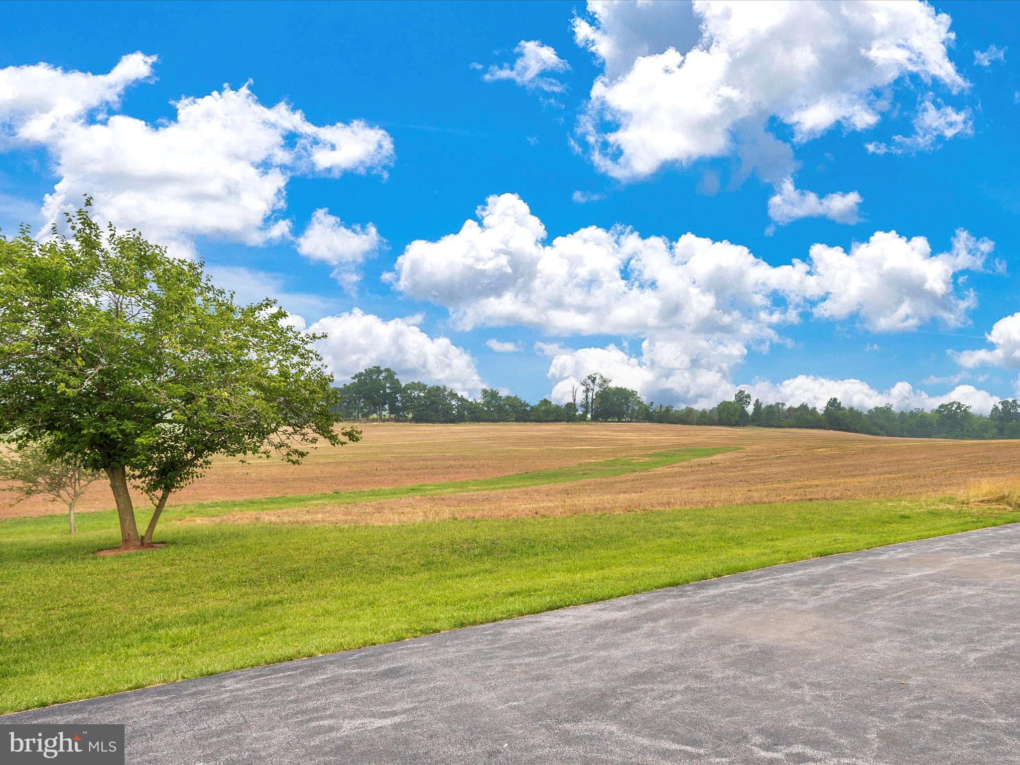 14054 Hoovers Mill Road Rocky Ridge, MD 21778 - Photo 41 of 56 Back View