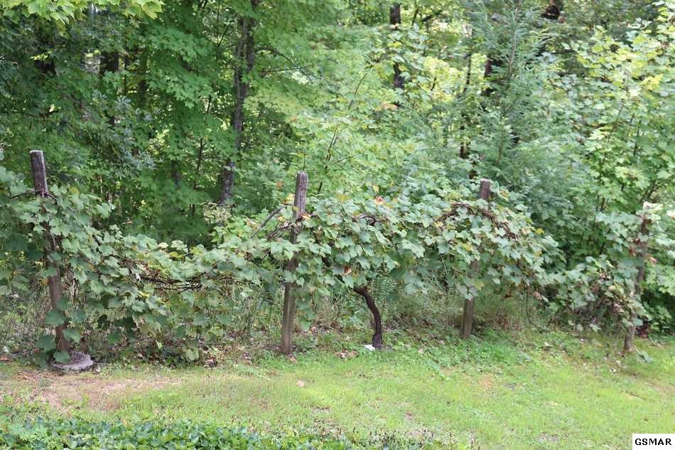 3962 Redbird Ridge Way, Unit OFFBIRDSCREEKROAD Sevierville, TN 37876 - Photo 9 of 33 Gallery Image 9