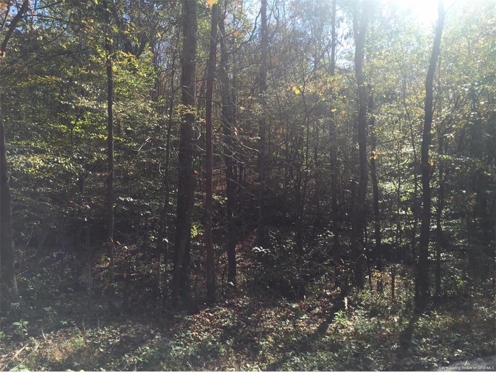 0 Temple Road Marengo, IN 47140 - Photo 1 of 4