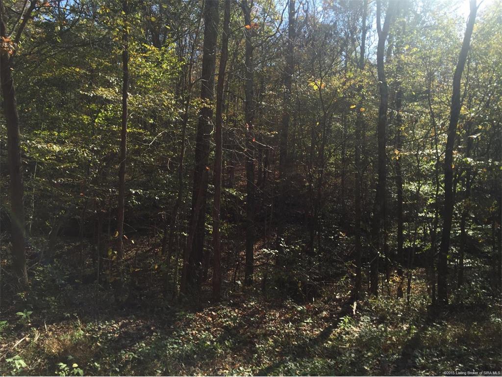 0 Temple Road Marengo, IN 47140 - Photo 2 of 4