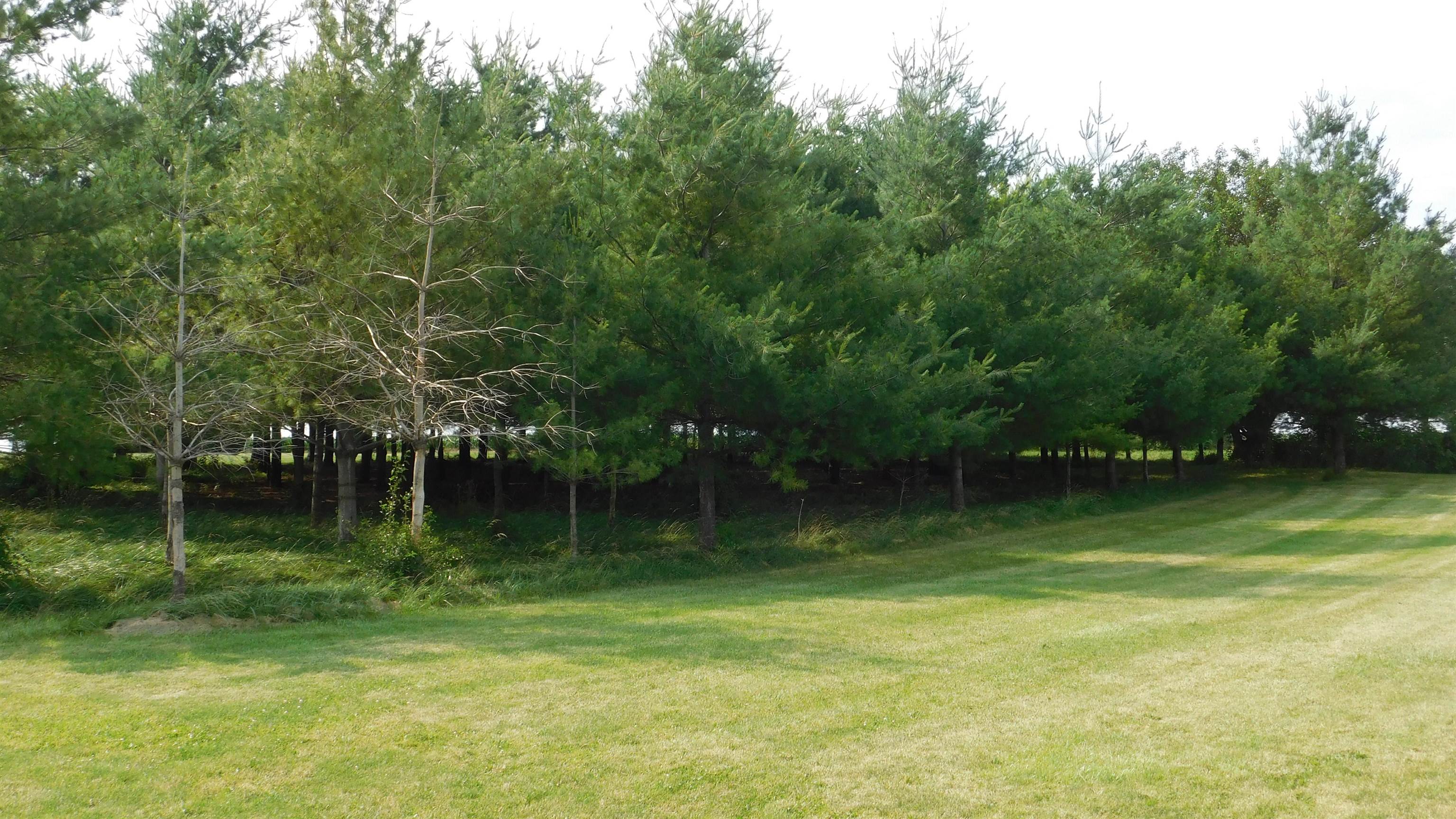 11024 West Raders Road Pearl City, IL 61062 - Photo 54 of 54 Gallery Image 54
