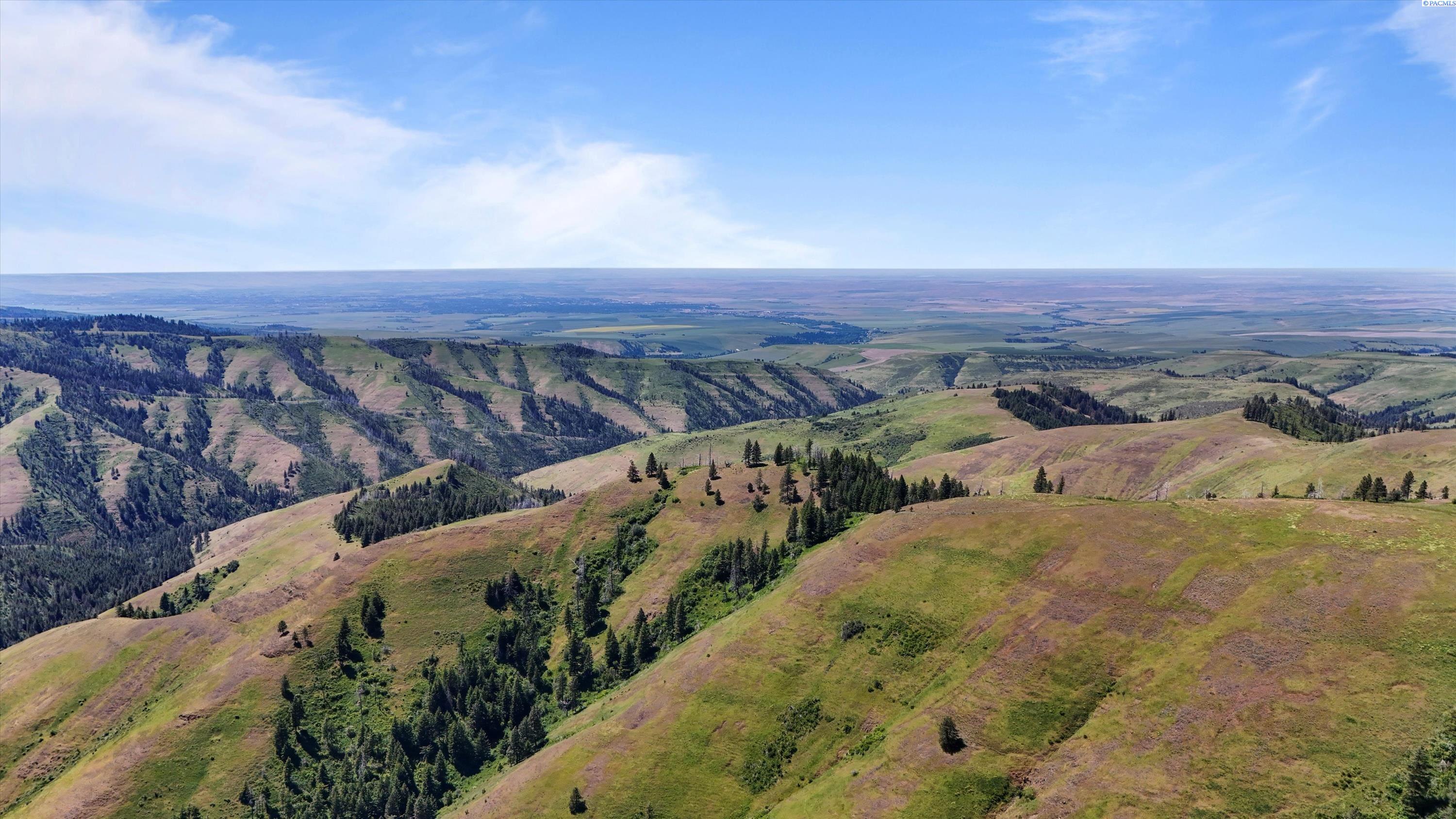 Unk10 Blacksnake Ridge Road Walla Walla, WA 99362 - Photo 20 of 48 Gallery Image 20