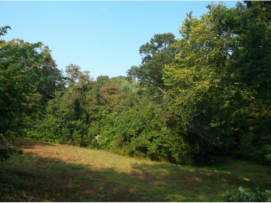 282 Lynn Road Johnson City, TN 37604 - Photo 29 of 29 Photo 29