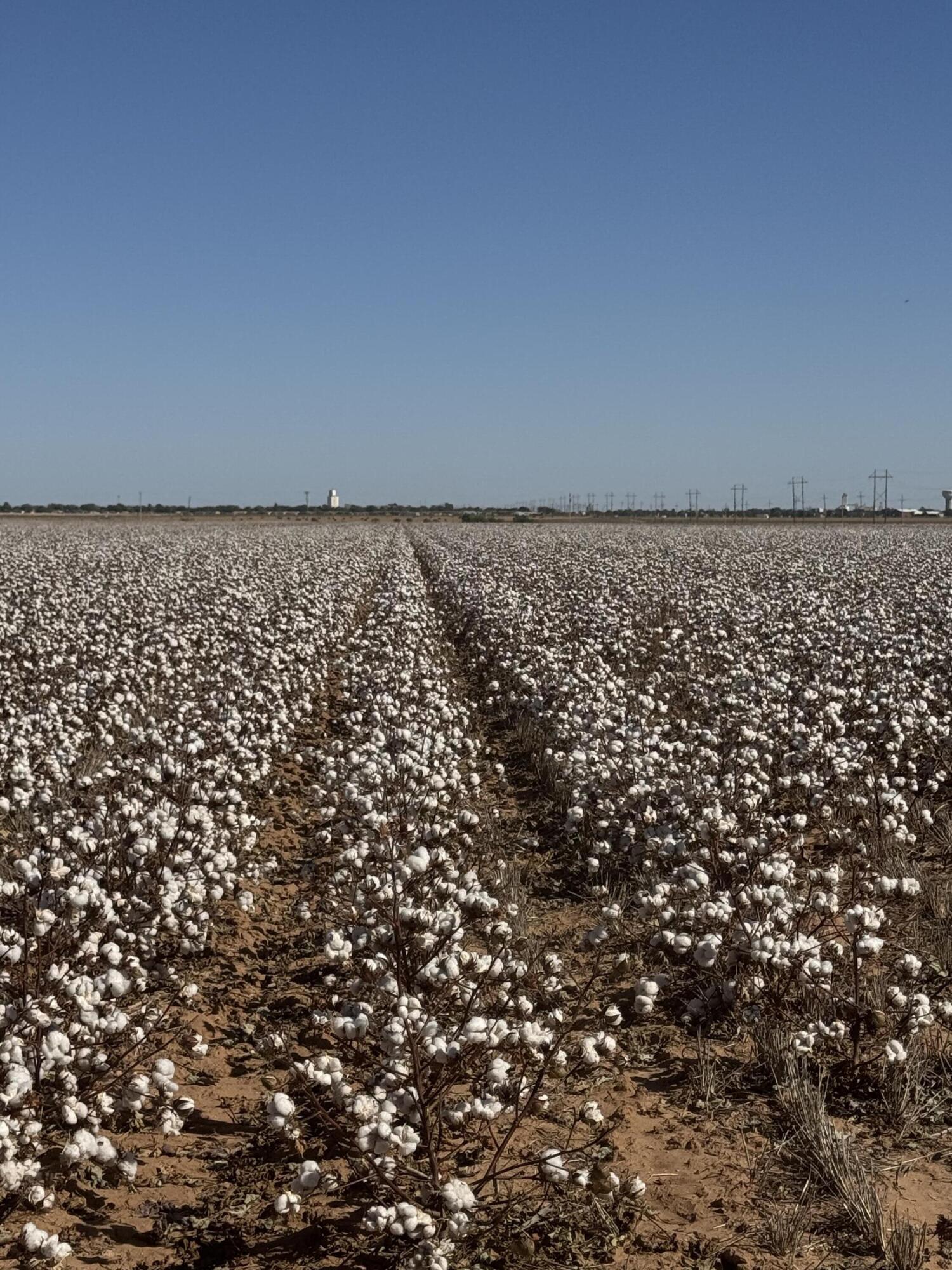 740 Sun Road Plainview, TX 79072 - Photo 12 of 15 IMG_5321