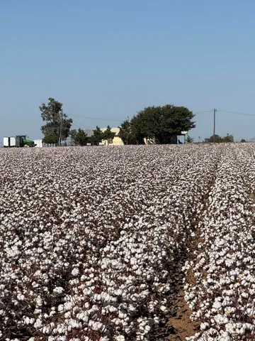 a view of a large space