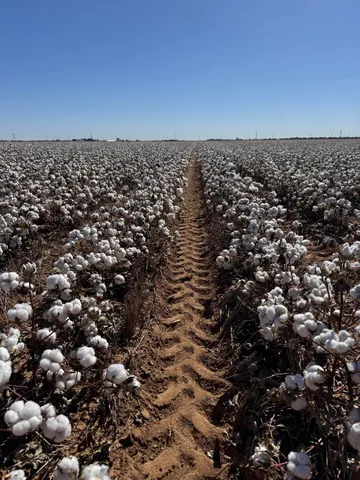 $620,000 | 740 Sun Road, Plainview, TX 79072