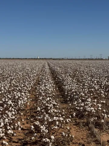 a view of a parking space