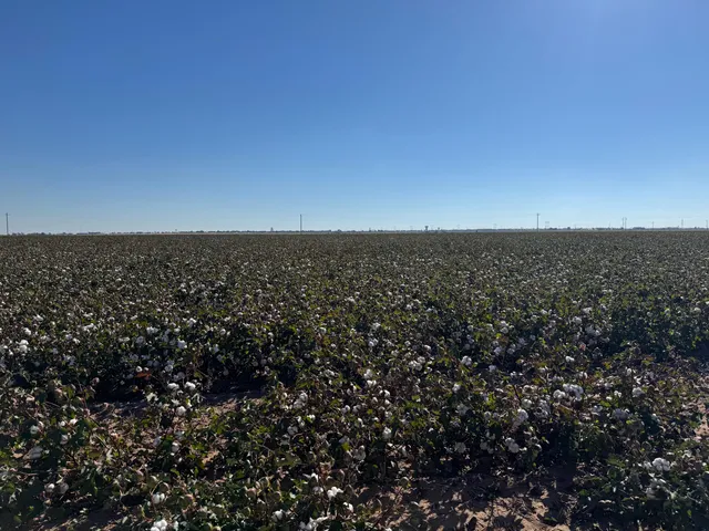 a car parked in front of a house