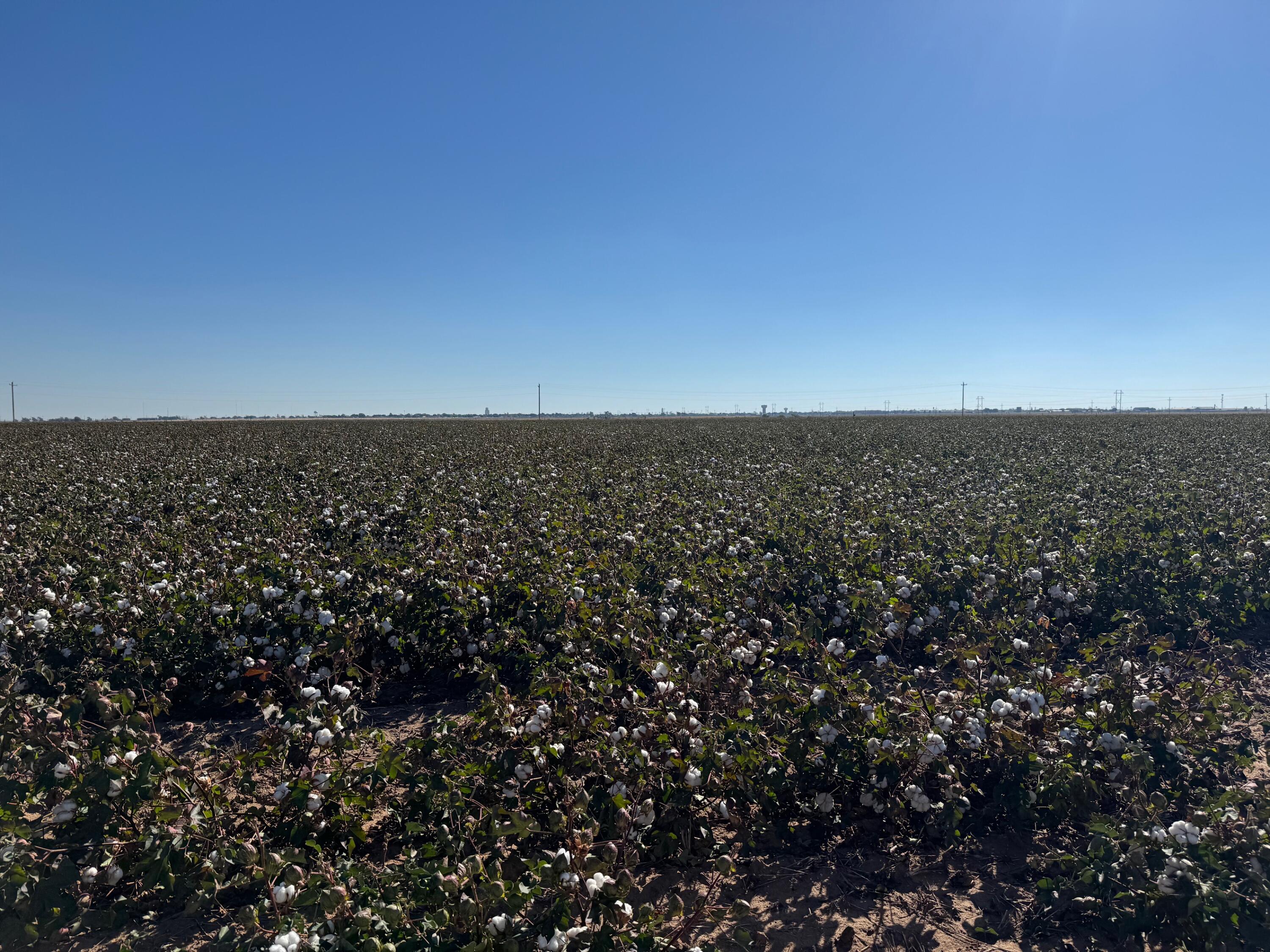 740 Sun Road Plainview, TX 79072 - Photo 9 of 15 an aerial view of house with yard and mountain view in back
