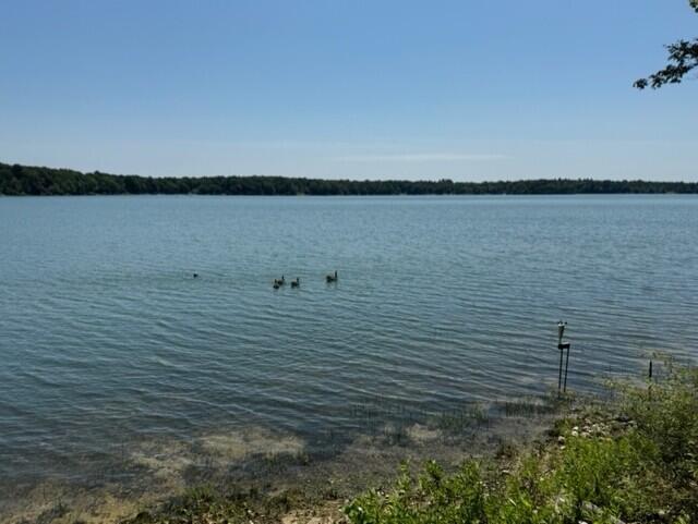 55 Horseshoe Bend Way Mashpee, MA 02649 - Photo 36 of 53 HBW Views