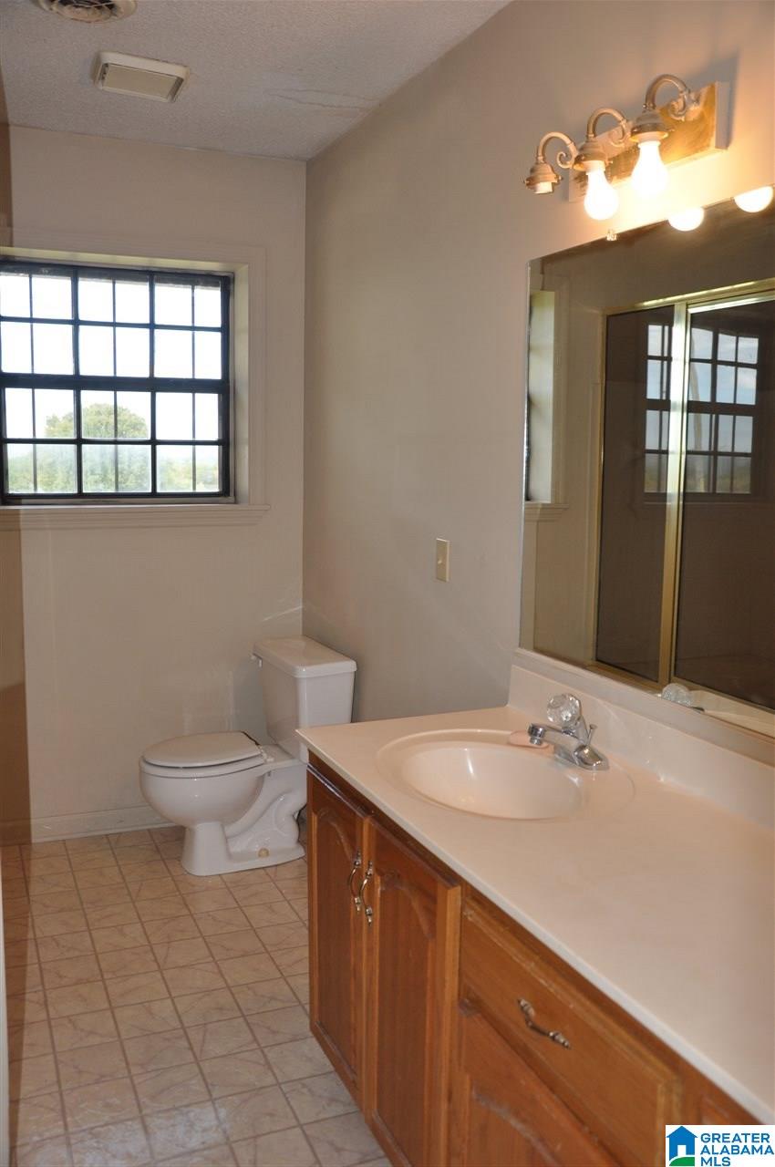 135 Loil Abbott Road Hayden, AL 35079 - Photo 9 of 25