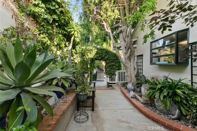 a view of a yard with a tree