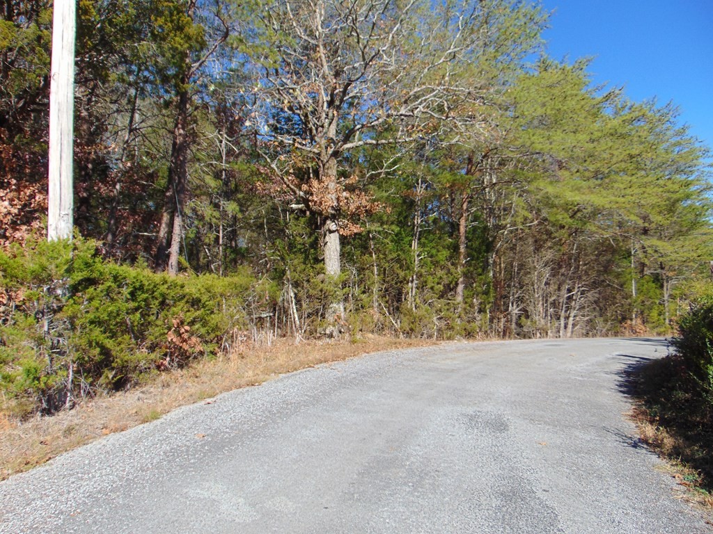 463 Co Road Englewood, TN 37329 - Photo 22 of 28