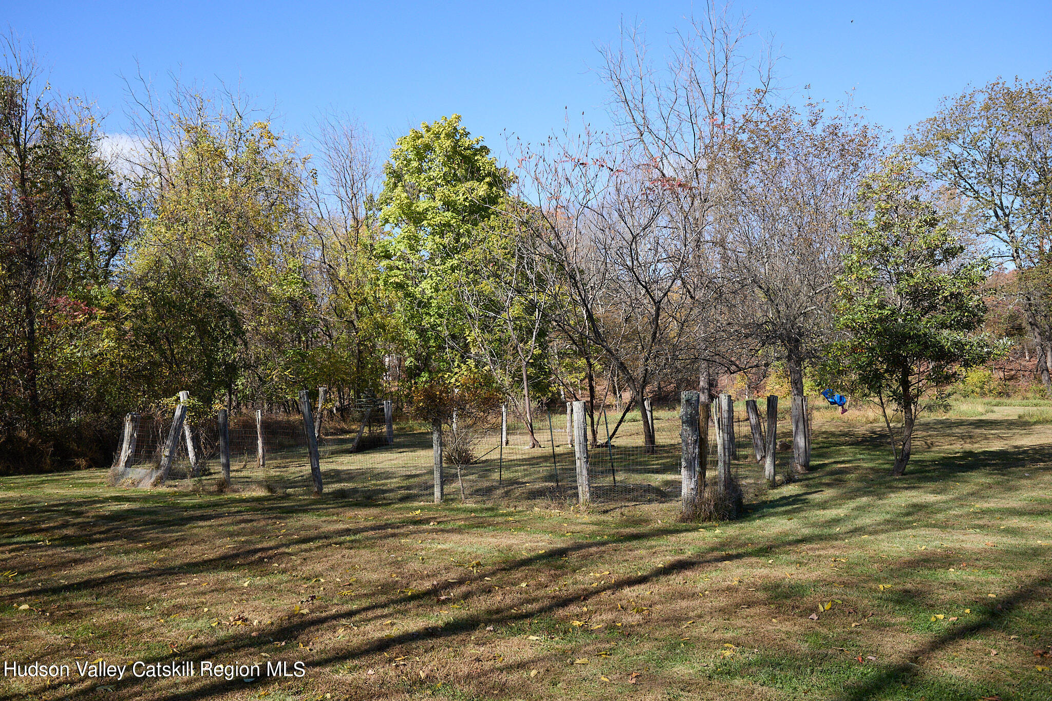 70 Store Road Accord, NY 12404 - Photo 40 of 43 a view of a park with large trees