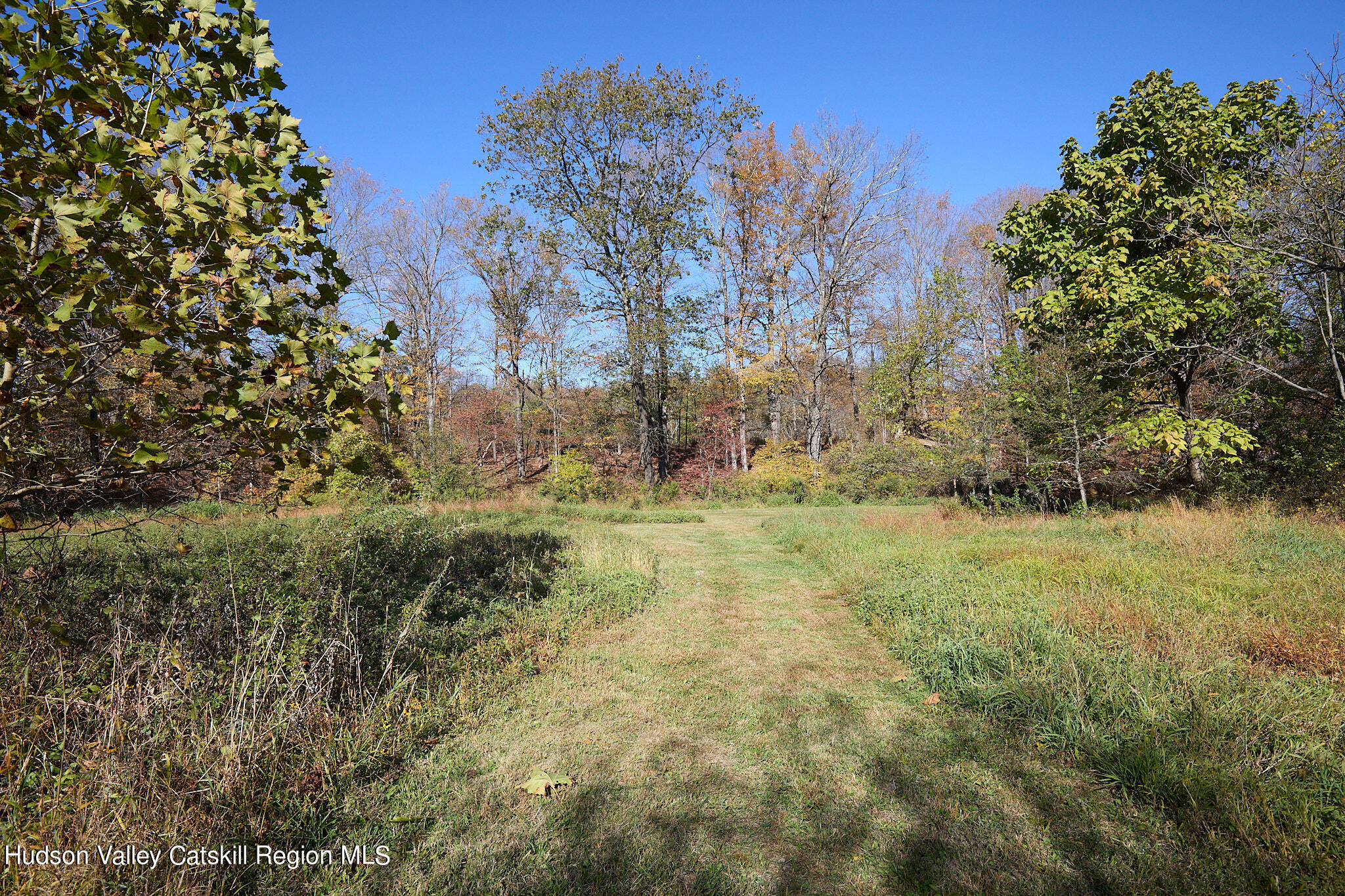 70 Store Road Accord, NY 12404 - Photo 41 of 43 a view of yard with green space