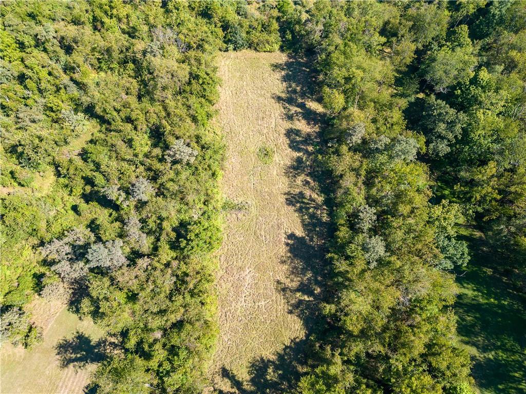 106 Mt Pleasant Road Rostraver Township, PA 15012 - Photo 9 of 11 Gallery Image 9