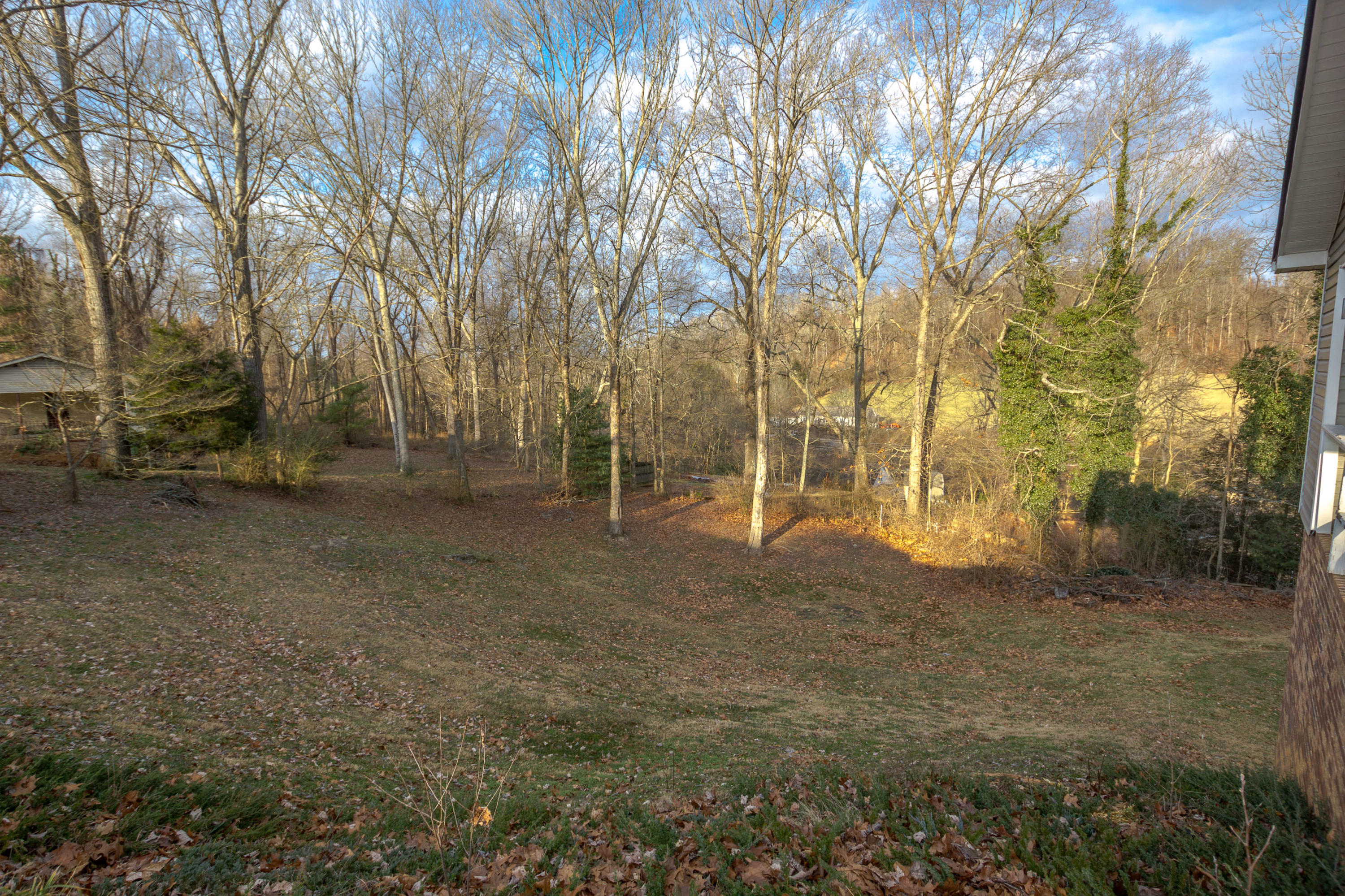 440 Merman Road Kingsport, TN 37663 - Photo 29 of 35 IMG_9475