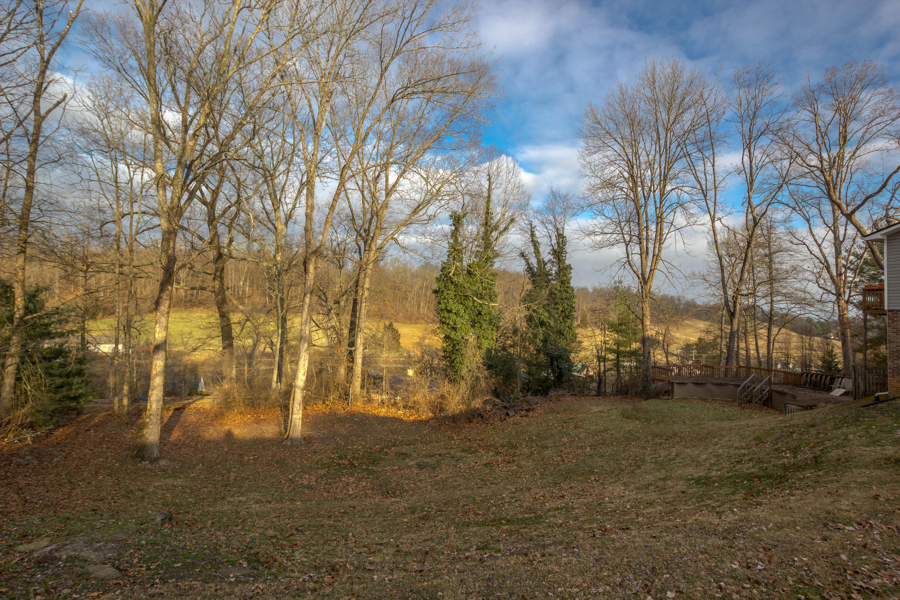 440 Merman Road Kingsport, TN 37663 - Photo 30 of 35 IMG_9476