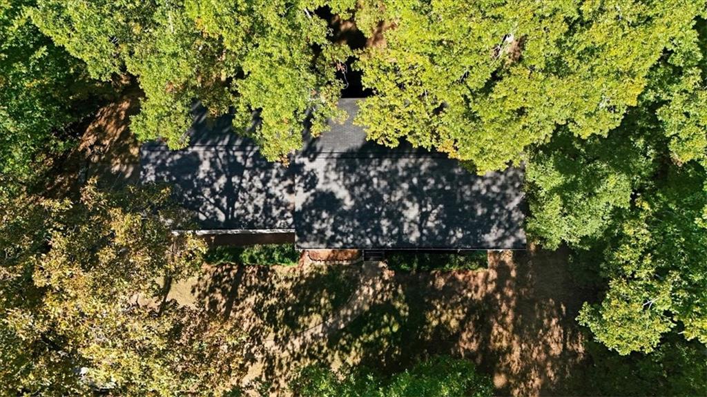 7 Thrushwood Road Northeast Rome, GA 30161 - Photo 48 of 52 a view of a tree with a tree