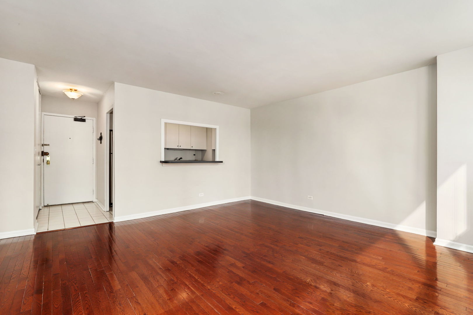 33 East Cedar Street, Unit 9B Chicago, IL 60611 - Photo 3 of 13