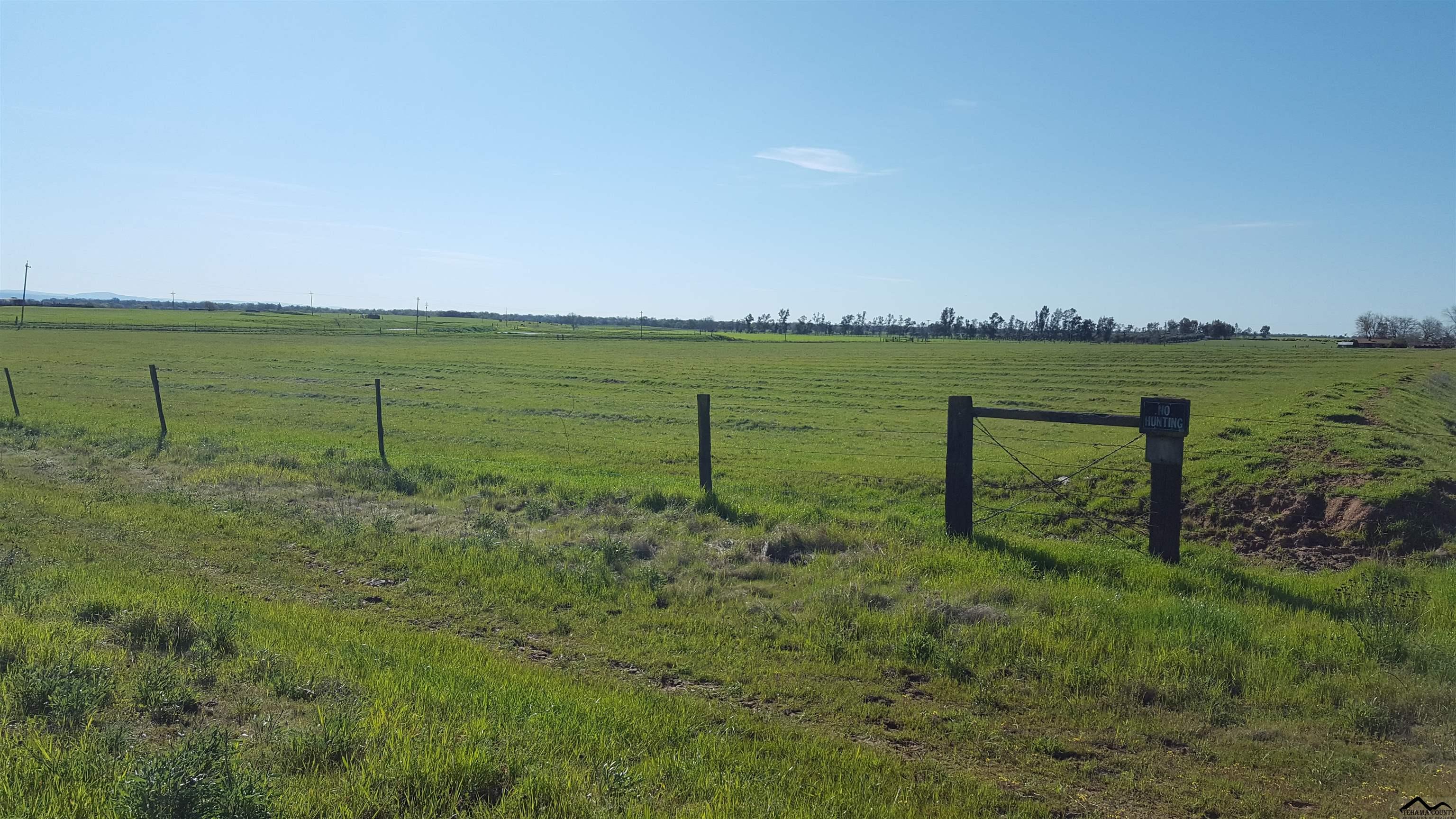 0 Unassigned Street Name, Unit CATTLE DRIVE ROAD Corning, CA 96021 - Photo 21 of 23