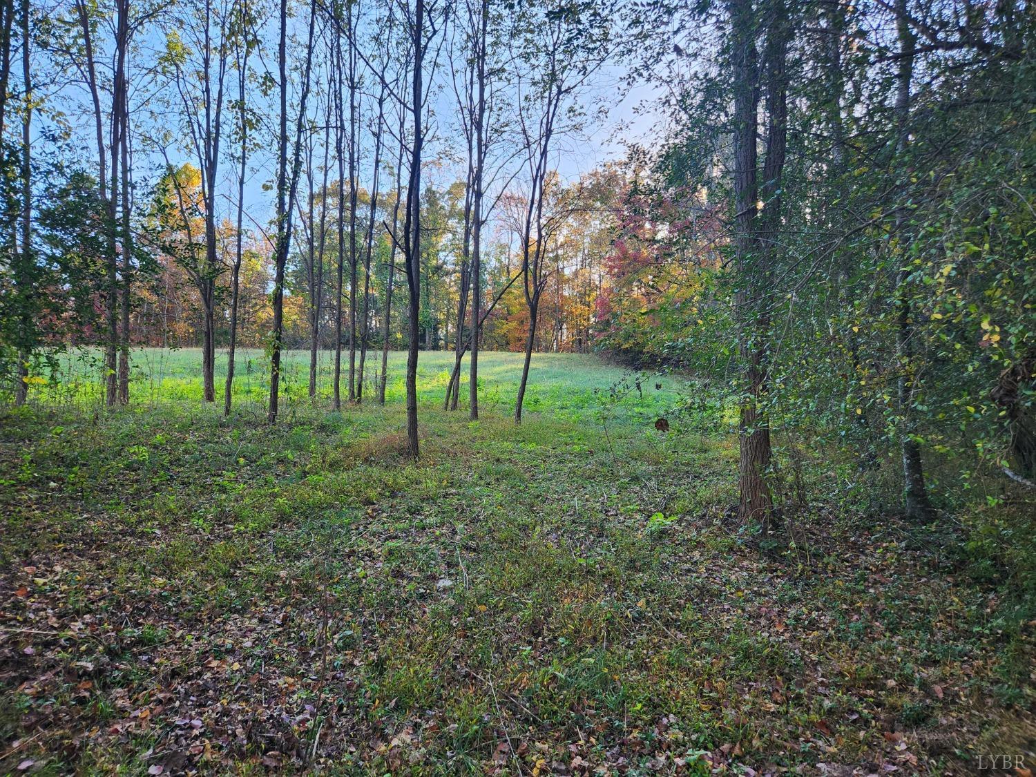 0 South Amherst Highway Amherst, VA 24521 - Photo 11 of 14 Gallery Image 11