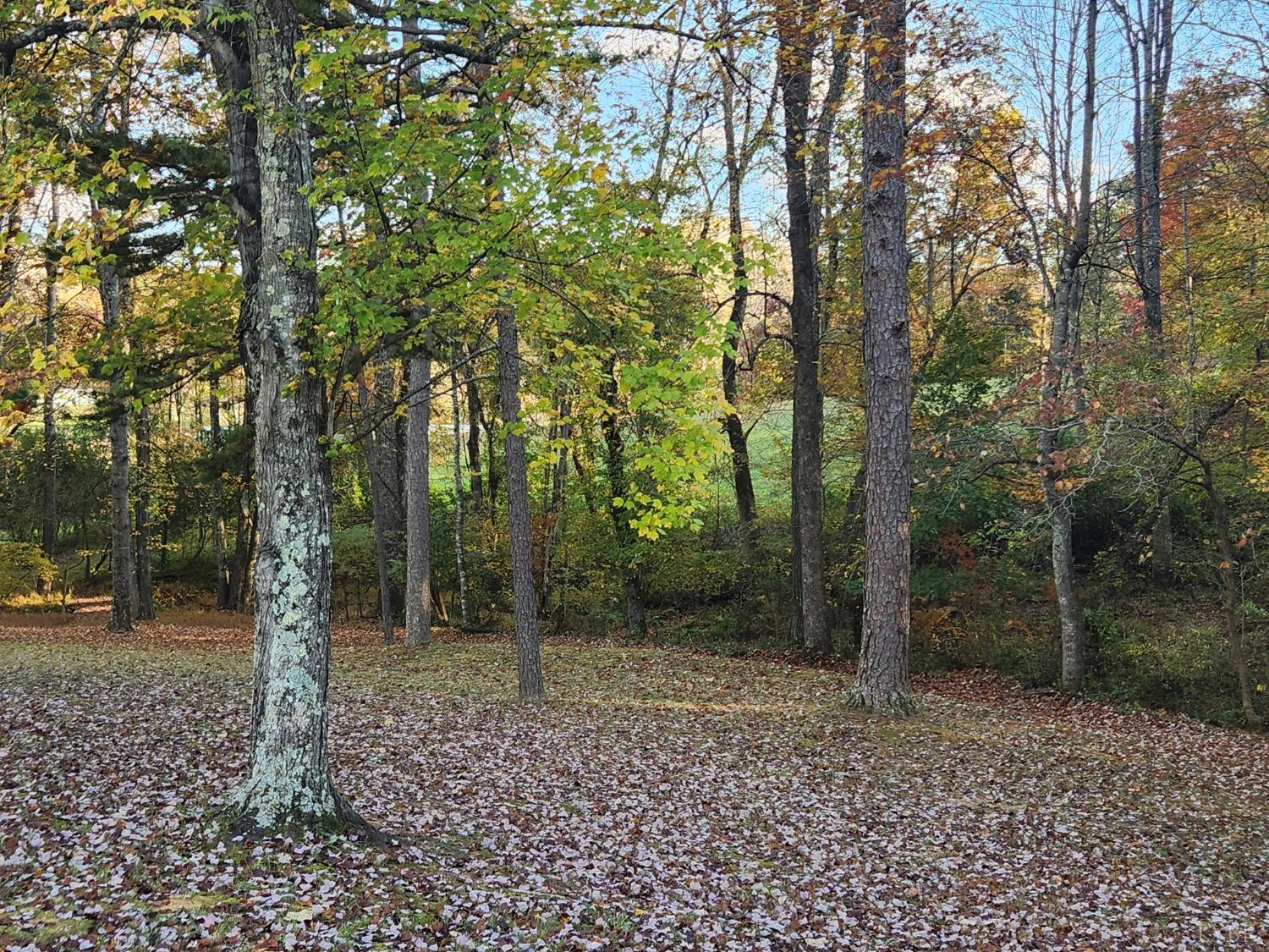 0 South Amherst Highway Amherst, VA 24521 - Photo 8 of 14 Gallery Image 8