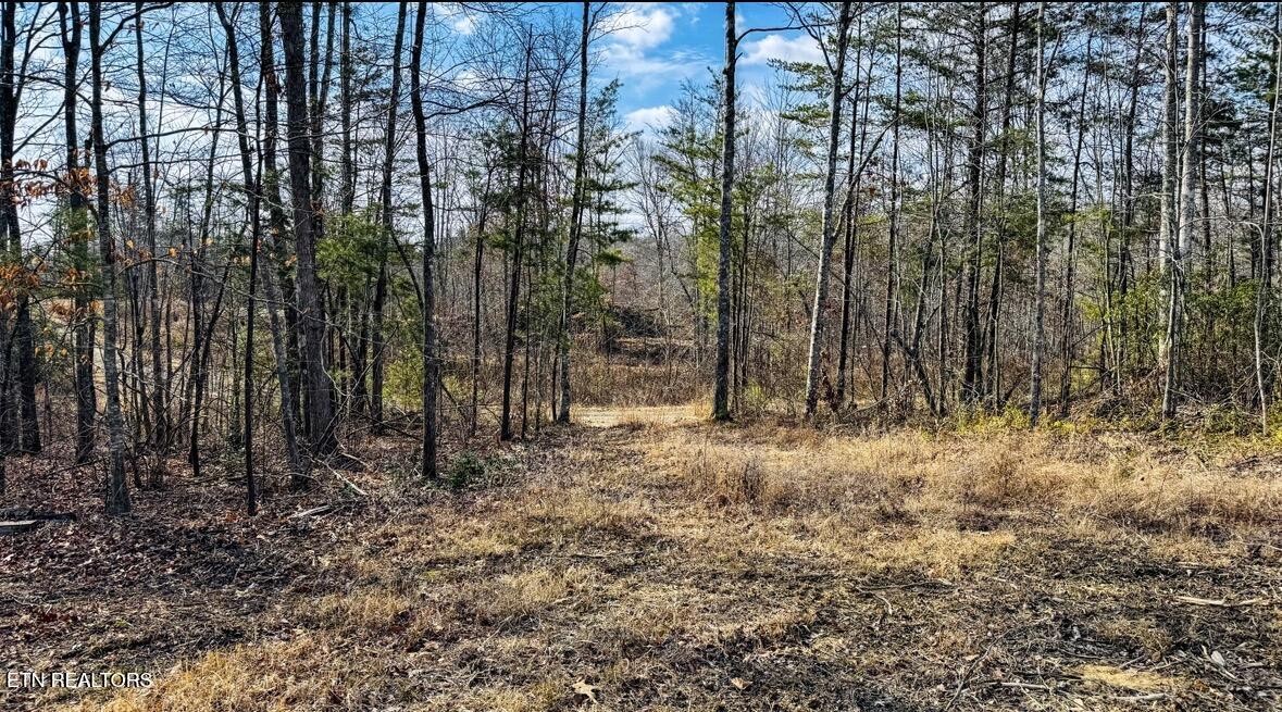 245 Old Beaty Pvt Road Winfield, TN 37892 - Photo 9 of 17 Gallery Image 9