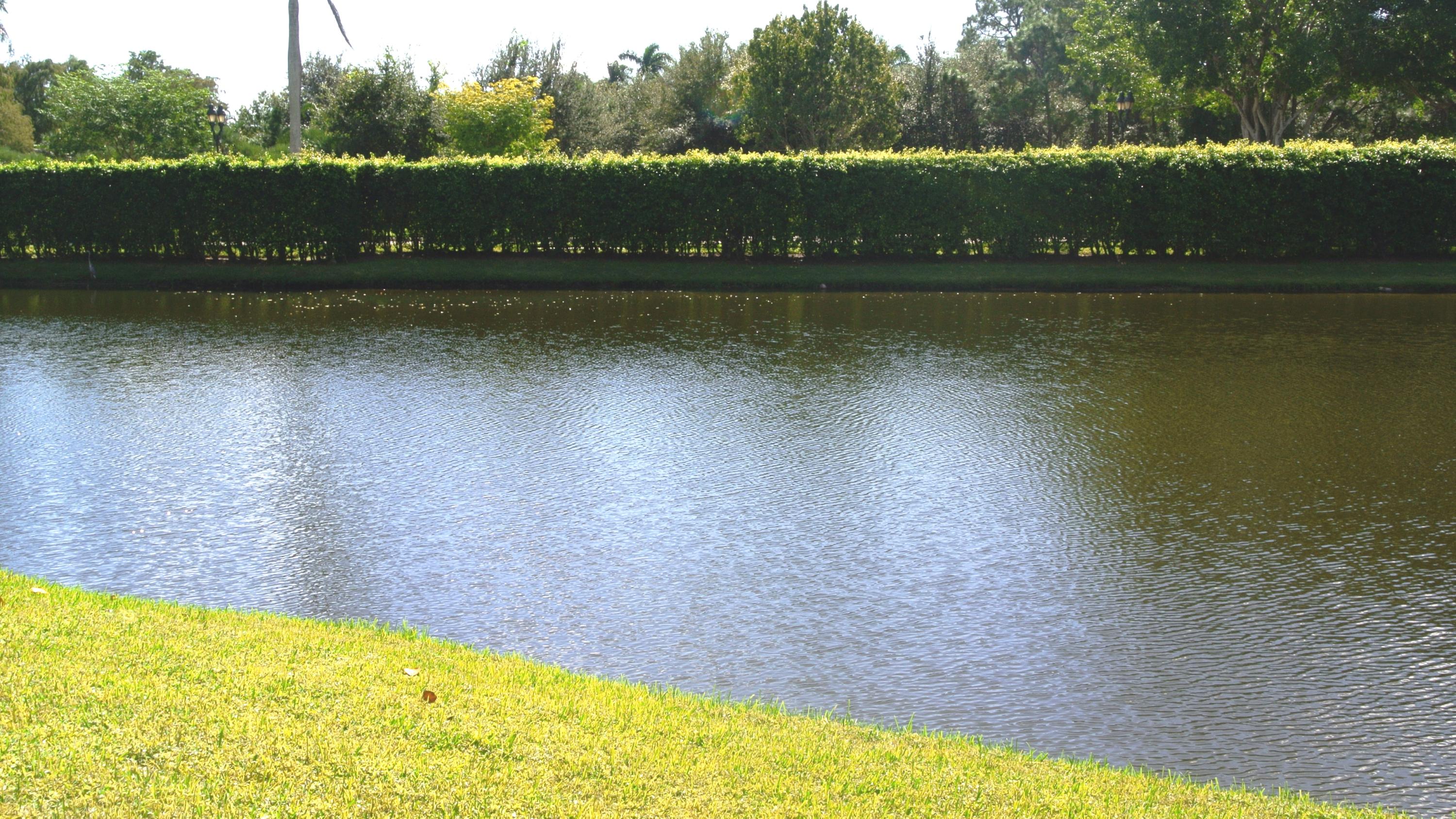 3258 Westminster Drive Boca Raton, FL 33496 - Photo 3 of 4 Back Lake View