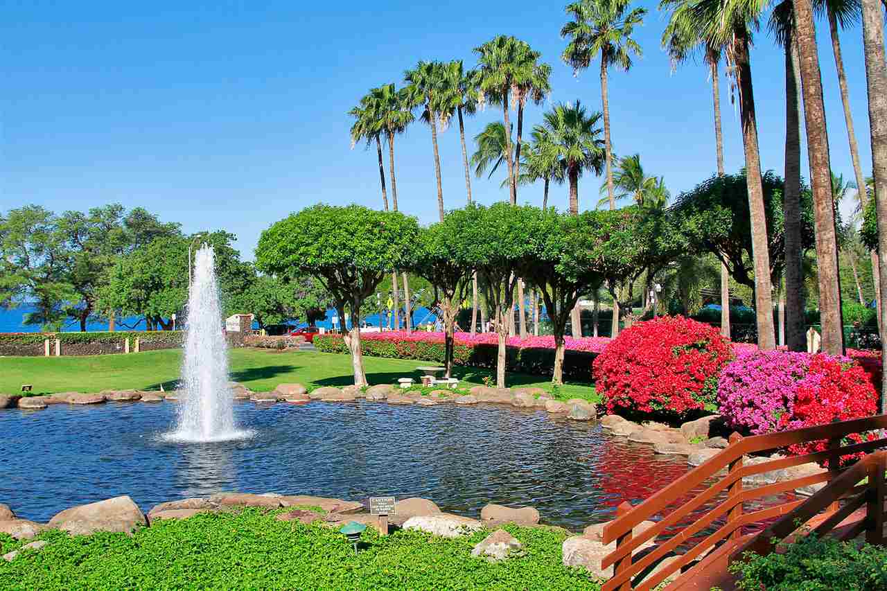2695 South Kihei Road, Unit 10115 Kihei, HI 96753 - Photo 9 of 28 a view of a backyard with plants and palm trees