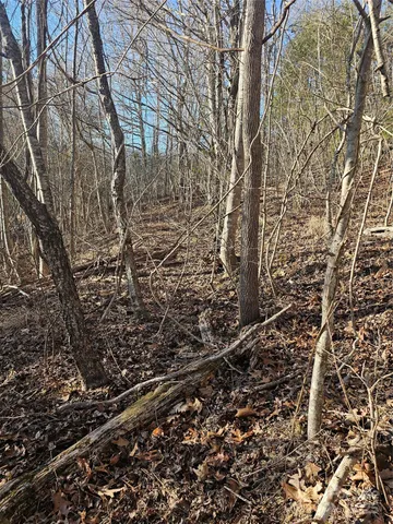 $479,111 | 1820 Grapevine Road, Marshall, NC 28753