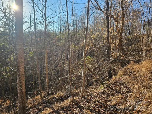 $479,111 | 1820 Grapevine Road, Marshall, NC 28753