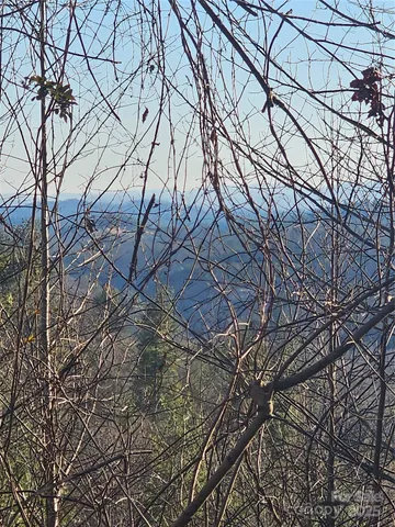 $479,111 | 1820 Grapevine Road, Marshall, NC 28753